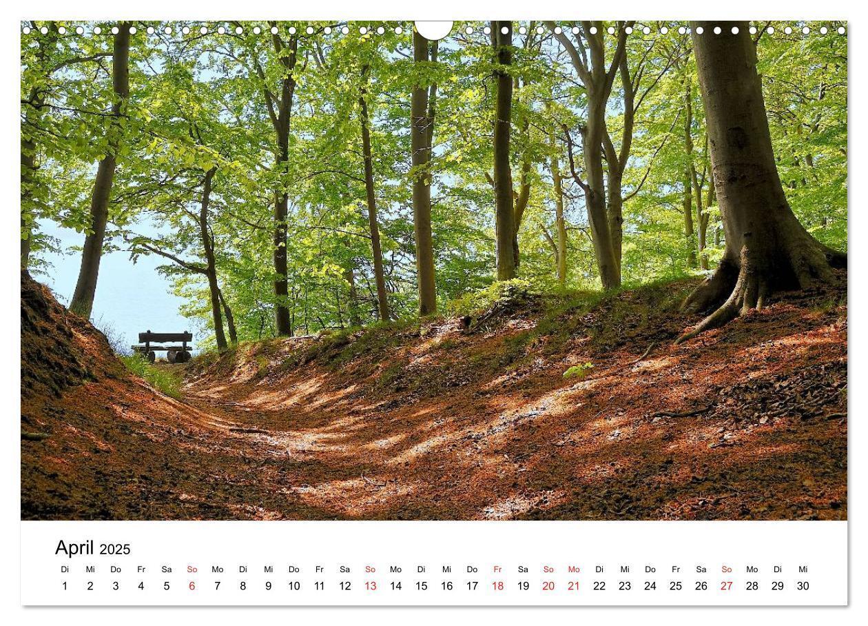 Bild: 9783435837274 | Insel Rügen (Wandkalender 2025 DIN A3 quer), CALVENDO Monatskalender