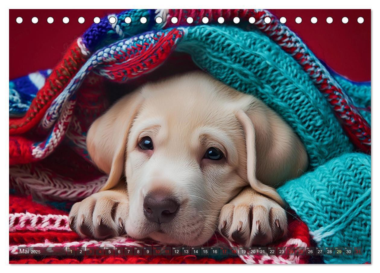 Bild: 9783435743100 | Welpen im Kuschelmodus - Herzerwärmende kleine Labrador Retriever...