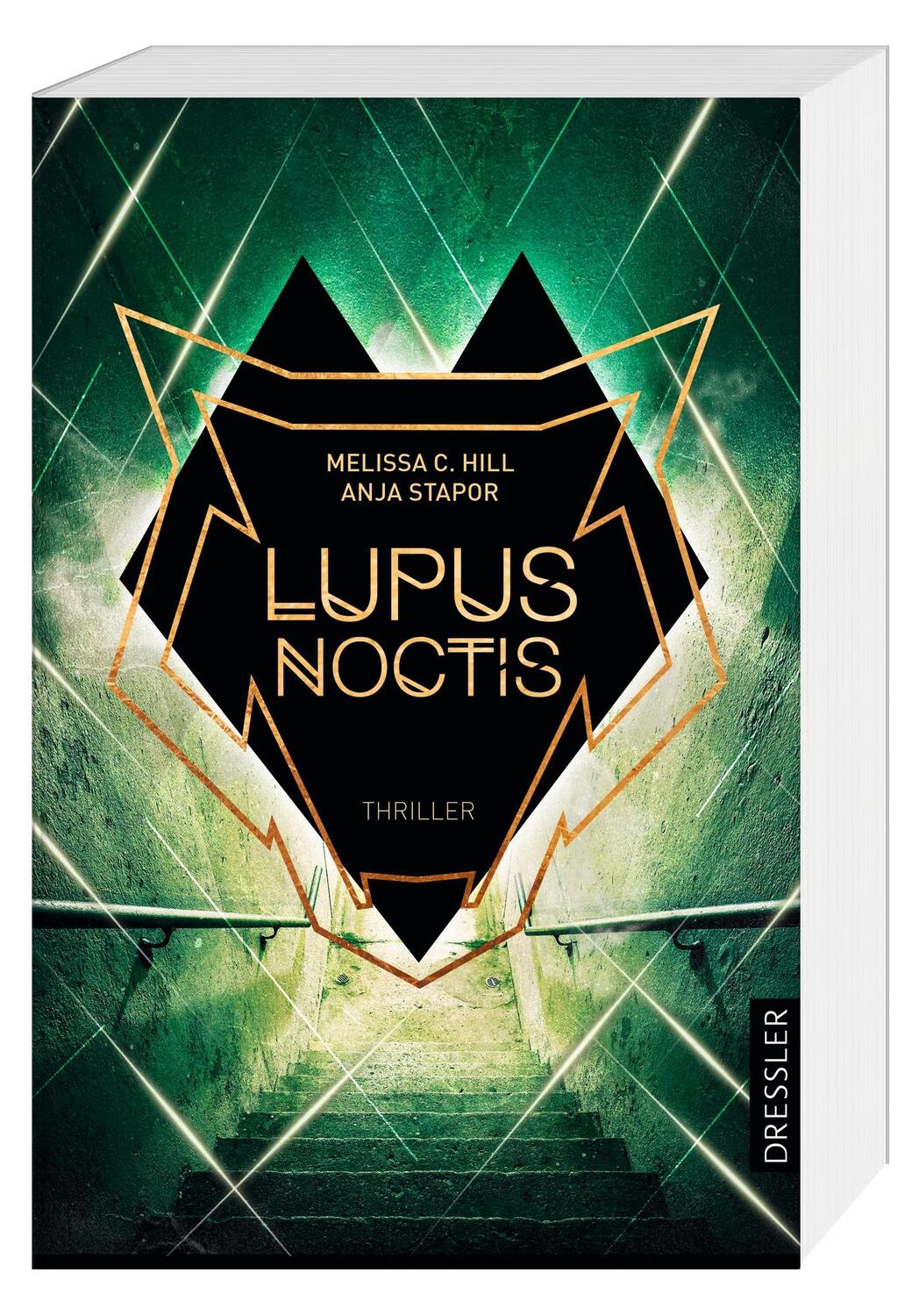 Bild: 9783751300858 | Lupus Noctis | Thriller | Melissa C. Hill (u. a.) | Taschenbuch | 2022