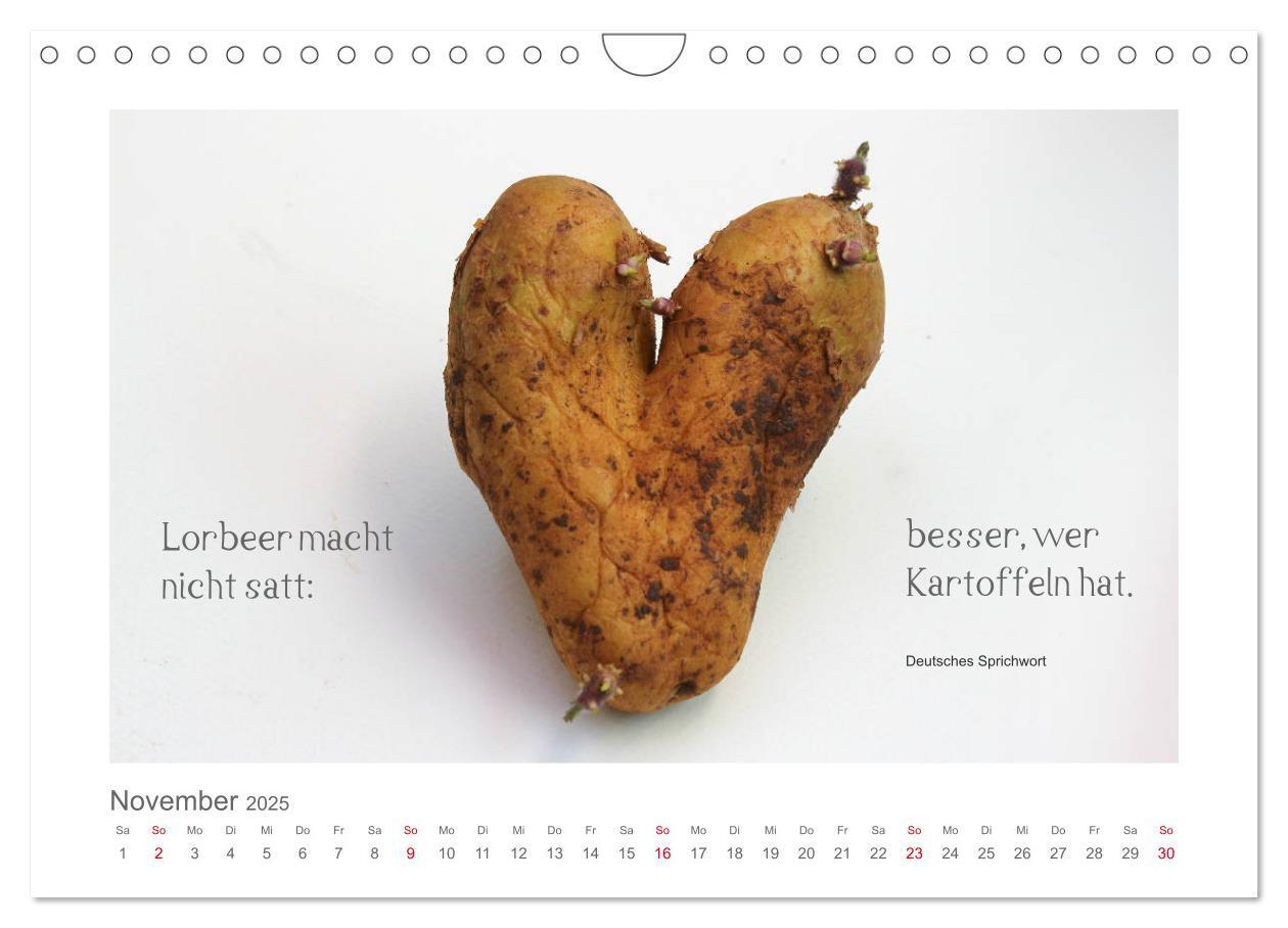 Bild: 9783435290369 | FunnyFood (Wandkalender 2025 DIN A4 quer), CALVENDO Monatskalender