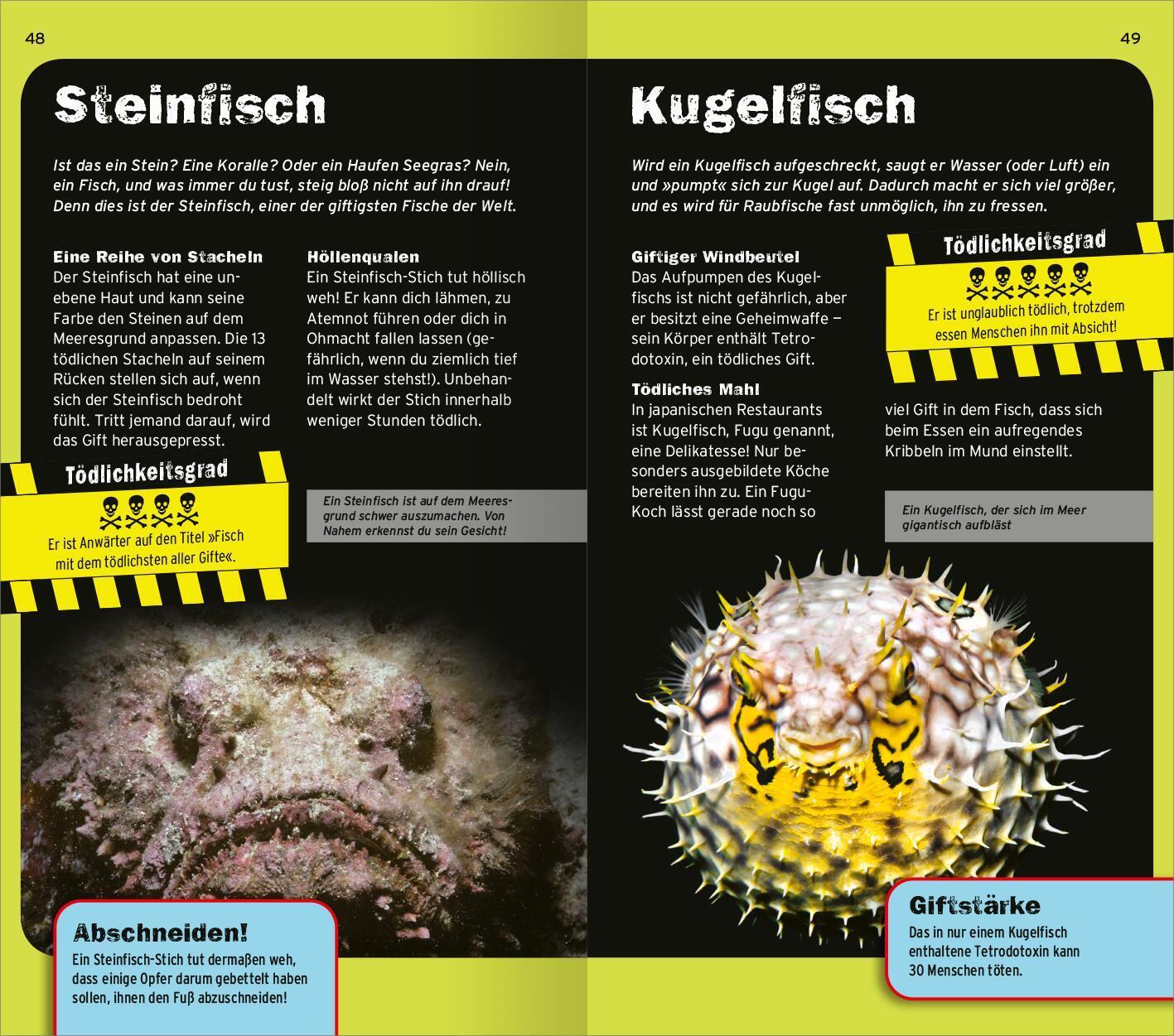 Bild: 9783845855189 | Die 100 tödlichsten Dinge der Welt | Nichts für schwache Nerven!