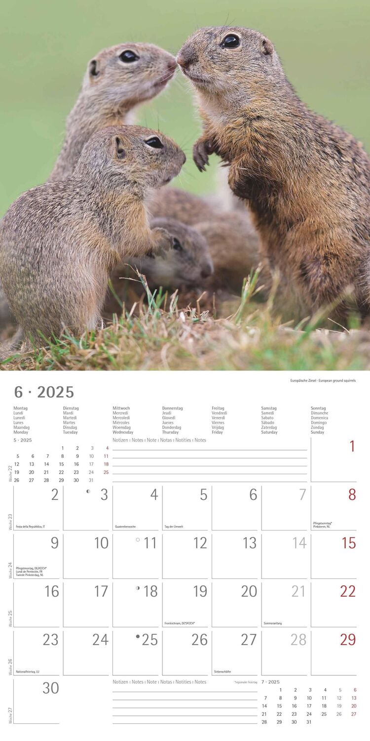 Bild: 4251732340803 | Wald und Flur 2025 - Broschürenkalender 30x30 cm (30x60 geöffnet) -...