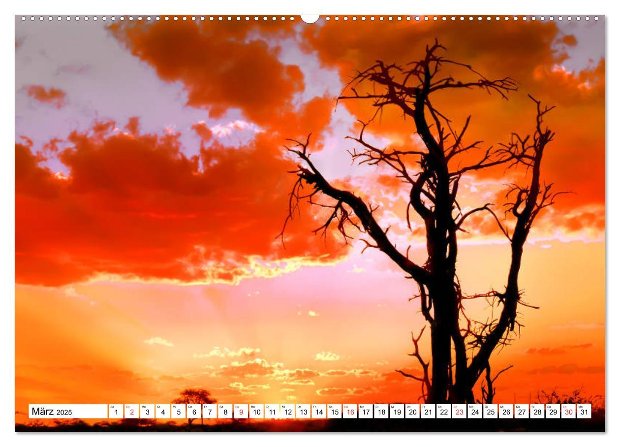 Bild: 9783435155705 | Namibia &amp; Botswana (Wandkalender 2025 DIN A2 quer), CALVENDO...