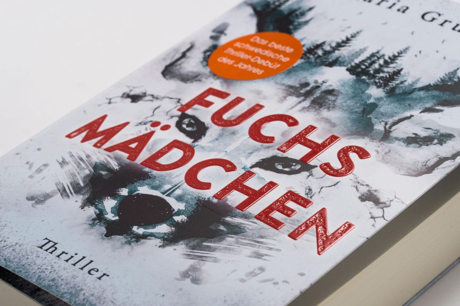 Bild: 9783328107057 | Fuchsmädchen | Maria Grund | Taschenbuch | 416 S. | Deutsch | 2022