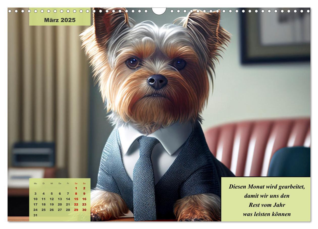 Bild: 9783383920219 | Der humoristische Yorkshire Terrier Kalender (Wandkalender 2025 DIN...