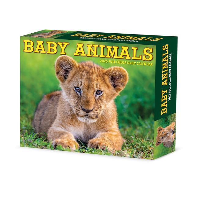 Cover: 9781549240607 | Baby Animals 2025 6.2 X 5.4 Box Calendar | Willow Creek Press | 2025