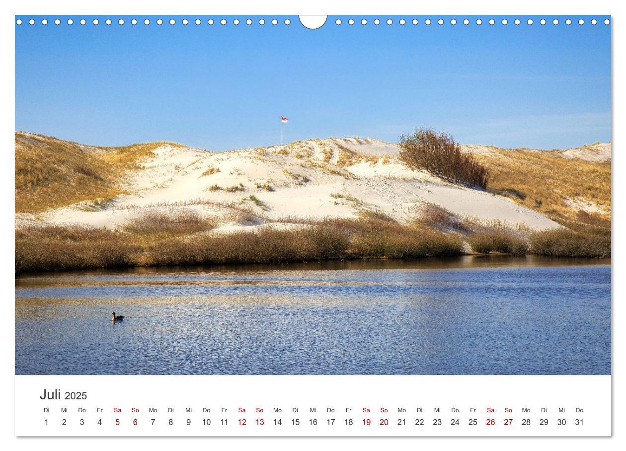 Bild: 9783435016471 | Amrum - Perle der Nordsee (Wandkalender 2025 DIN A3 quer), CALVENDO...