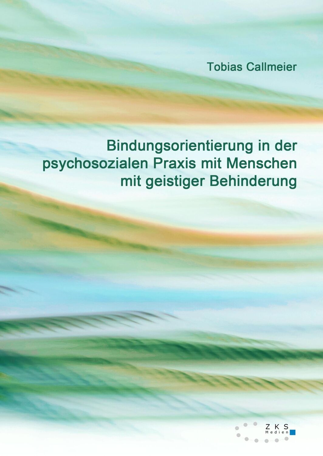 Cover: 9783934247888 | Bindungsorientierung in der psychosozialen Praxis mit Menschen mit...