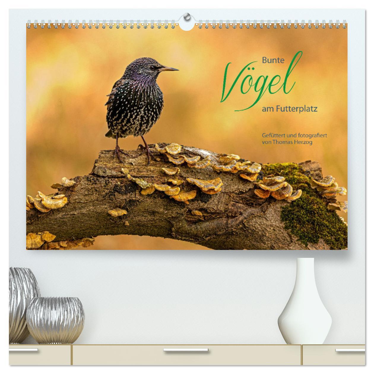 Cover: 9783435059508 | Bunte Vögel am Futterplatz (hochwertiger Premium Wandkalender 2025...