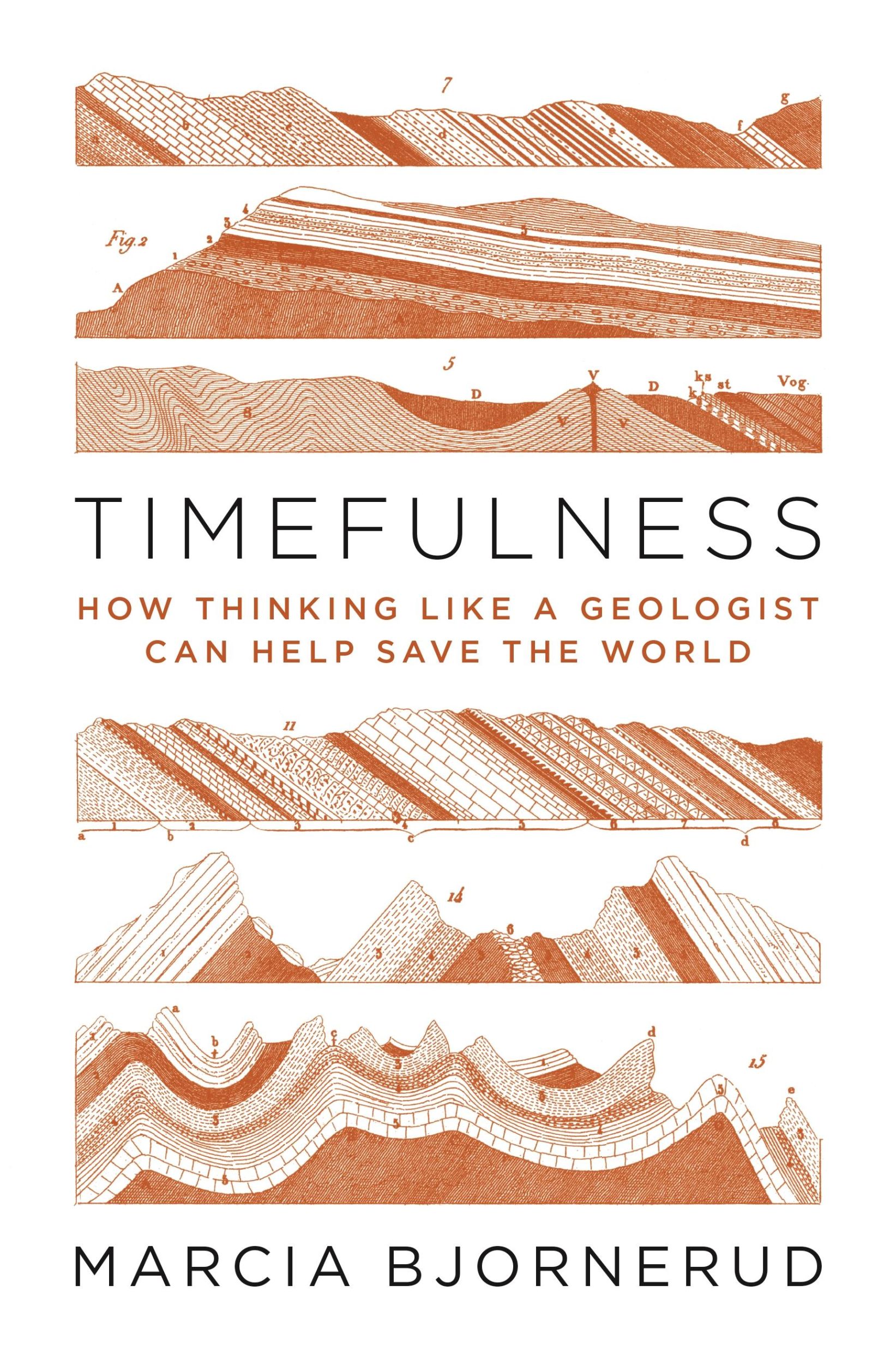 Cover: 9780691181202 | Timefulness | How Thinking Like a Geologist Can Help Save the World