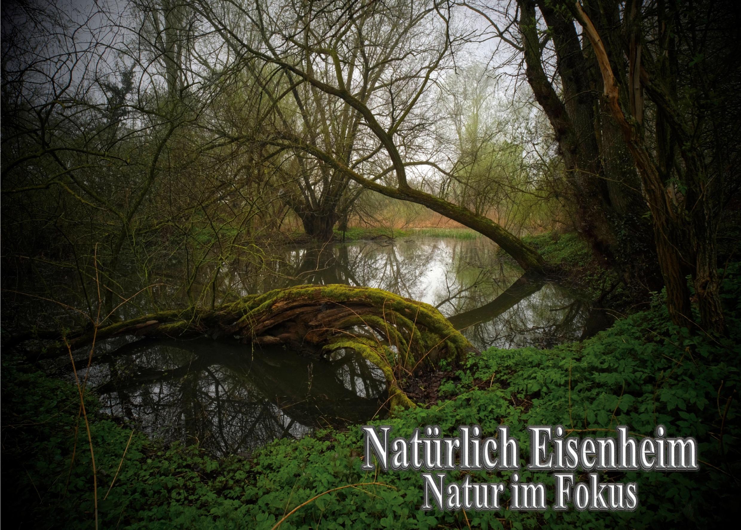 Cover: 9783756841875 | Natürlich Eisenheim | Natur im Fokus | Jerry-Louis Ruff | Taschenbuch