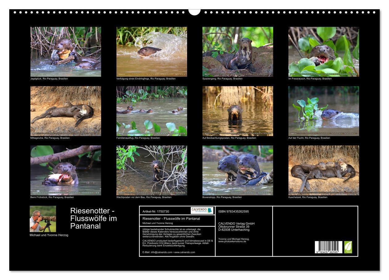 Bild: 9783435262595 | Riesenotter - Flusswölfe im Pantanal (Wandkalender 2025 DIN A2...