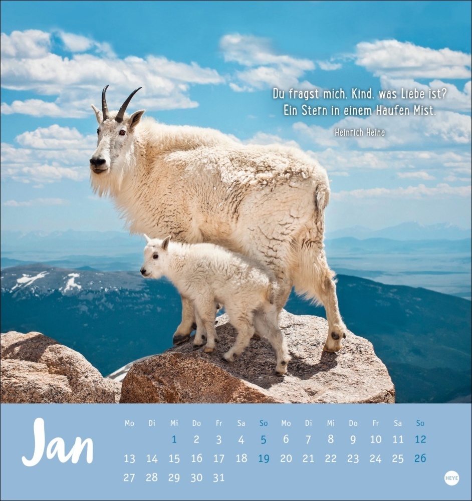 Bild: 9783756407194 | Mama! Postkartenkalender 2025 - Ohne dich geht nix! | Kalender | 13 S.