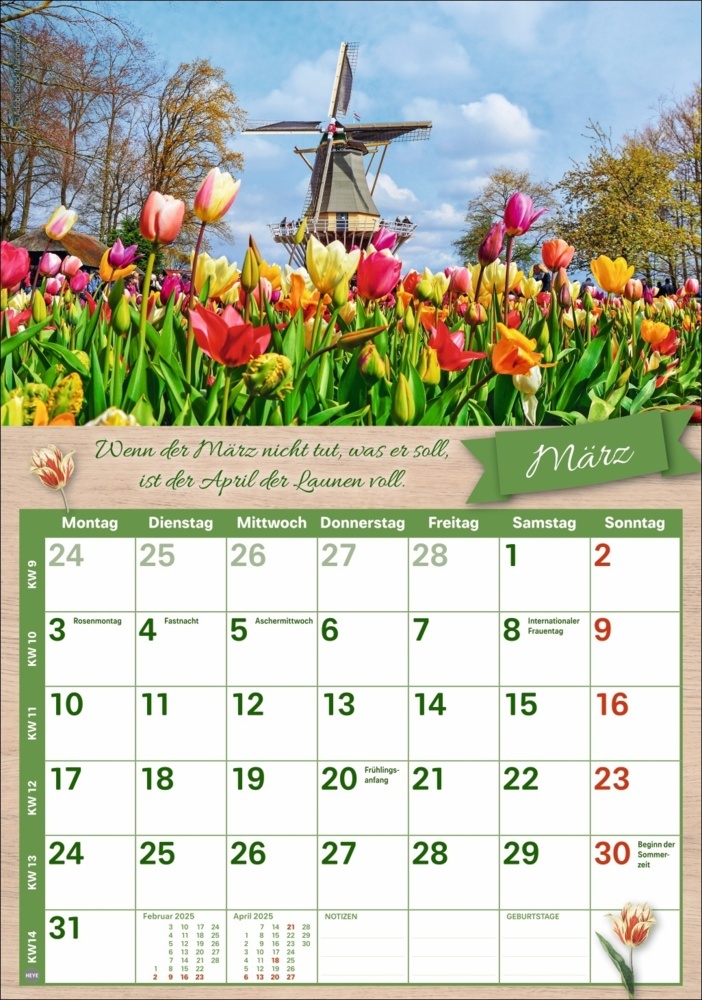 Bild: 9783756408726 | Rentnerkalender 2025 | Kalender | Spiralbindung | 25 S. | Deutsch