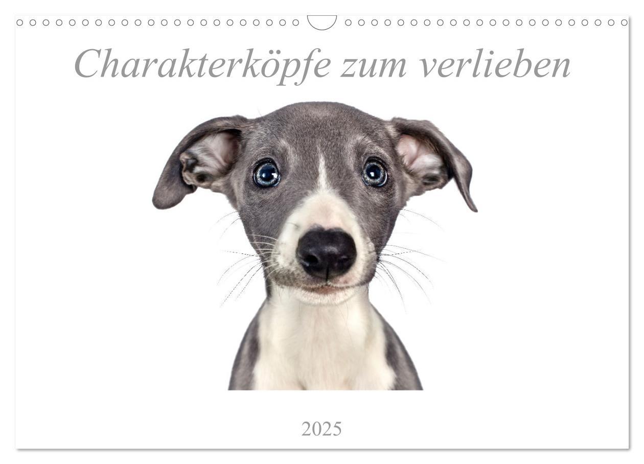 Cover: 9783435190614 | Charakterköpfe zum verlieben (Wandkalender 2025 DIN A3 quer),...