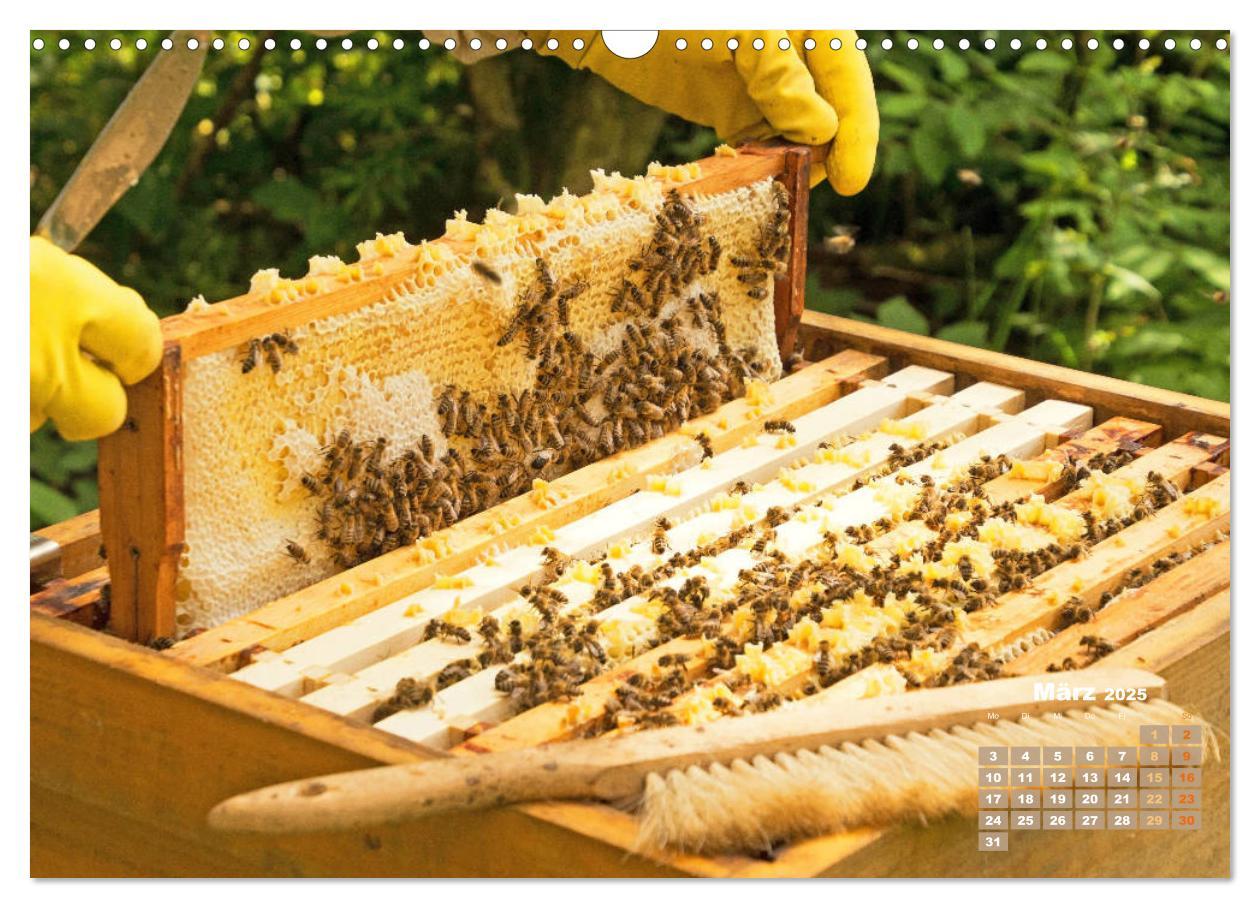 Bild: 9783435124855 | Ein Leben für den Honig - Bienen und Imker (Wandkalender 2025 DIN...