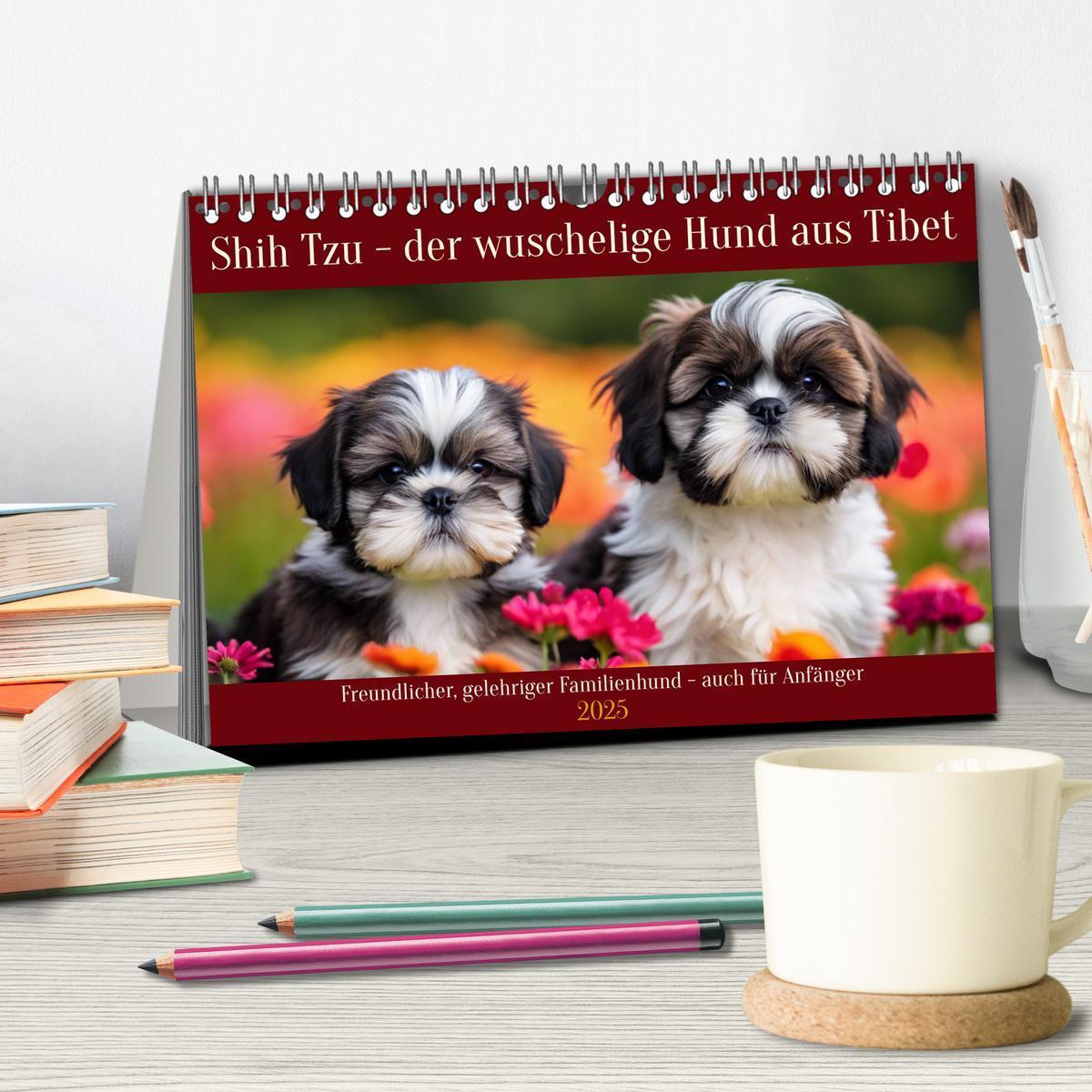 Bild: 9783435647279 | Shih Tzu - der wuschelige Hund aus Tibet (Tischkalender 2025 DIN A5...