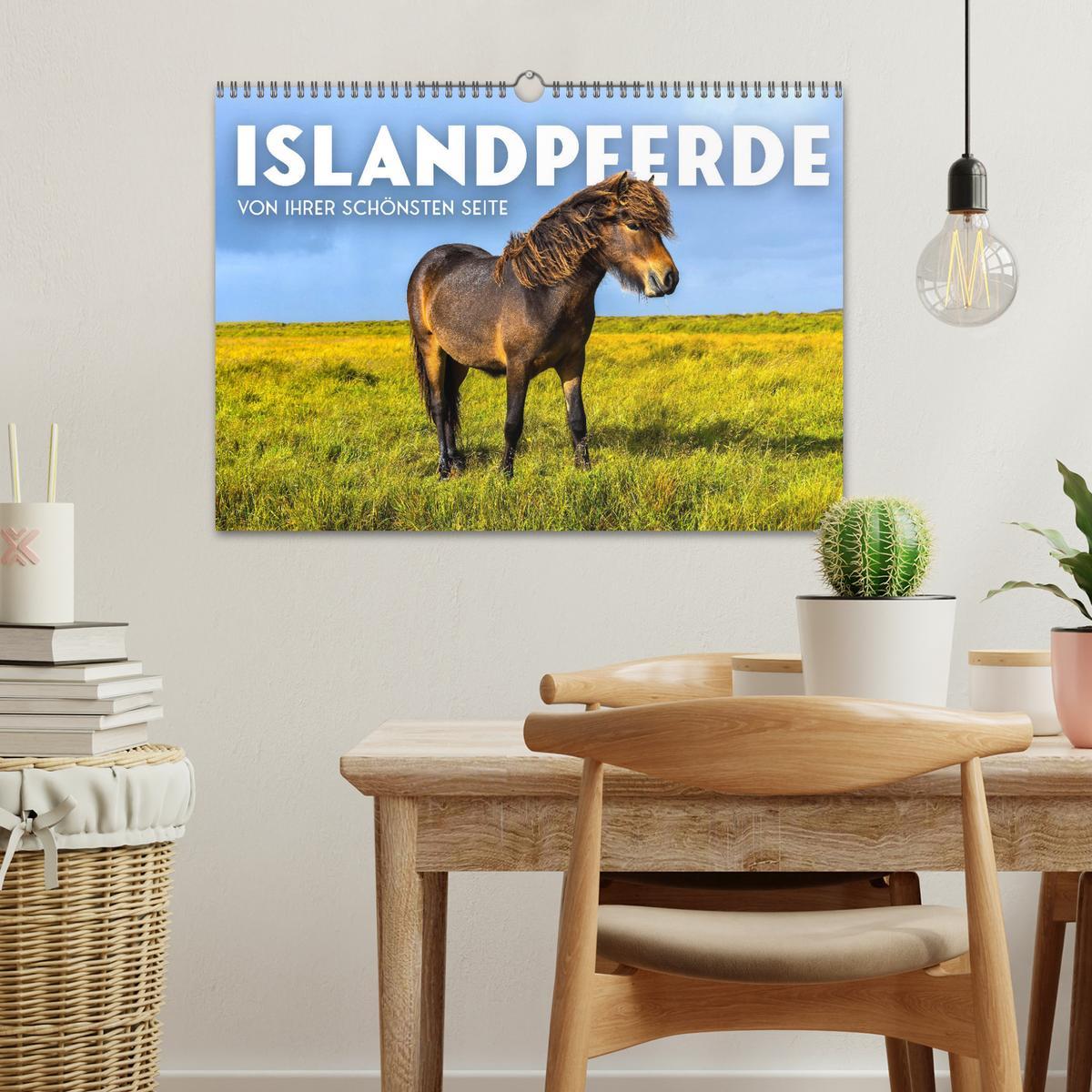 Bild: 9783383930508 | Islandpferde - Von ihrer schönsten Seite (Wandkalender 2025 DIN A3...