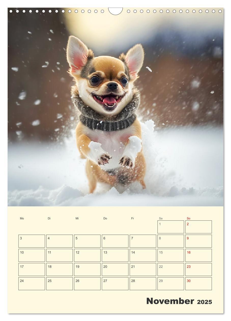 Bild: 9783435875672 | Witzige Chihuahuas. Glückliche Temperamentbündel (Wandkalender 2025...