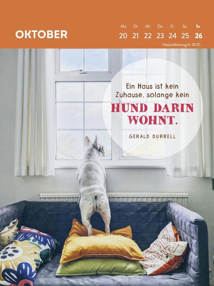 Bild: 4036442012123 | Wochenkalender 2025: Hunde sind die besten Freunde | Groh Verlag