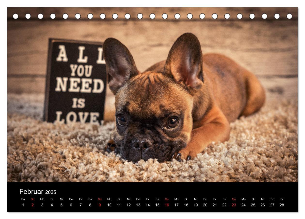 Bild: 9783435298372 | French Bulldog aktiv, verspielt, sportlich (Tischkalender 2025 DIN...