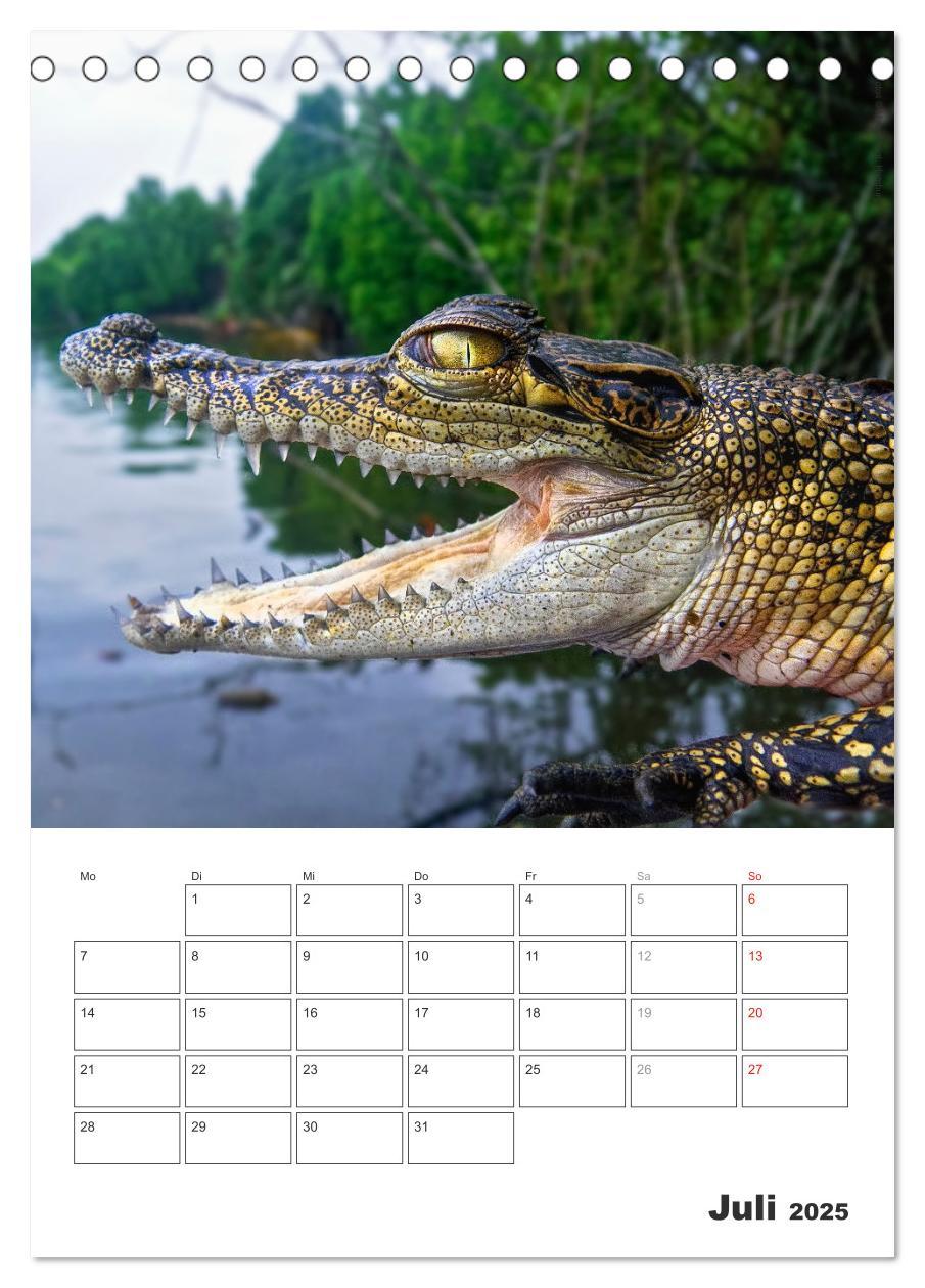 Bild: 9783457050682 | Sri Lanka 2025 - Exotisches Paradies - Jahresplaner (Tischkalender...