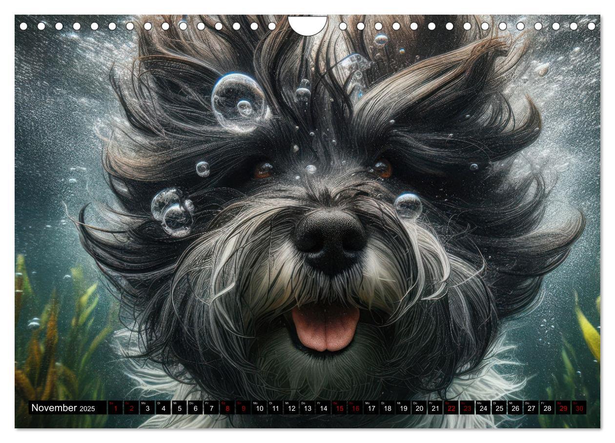 Bild: 9783457150429 | Badespaß - Hunde unter Wasser (Wandkalender 2025 DIN A4 quer),...