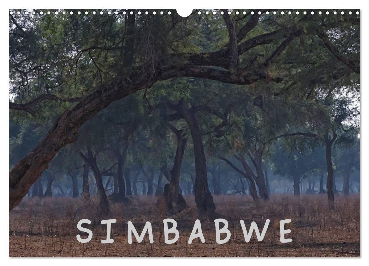 Cover: 9783435768813 | Zimbabwe (Wandkalender 2025 DIN A3 quer), CALVENDO Monatskalender