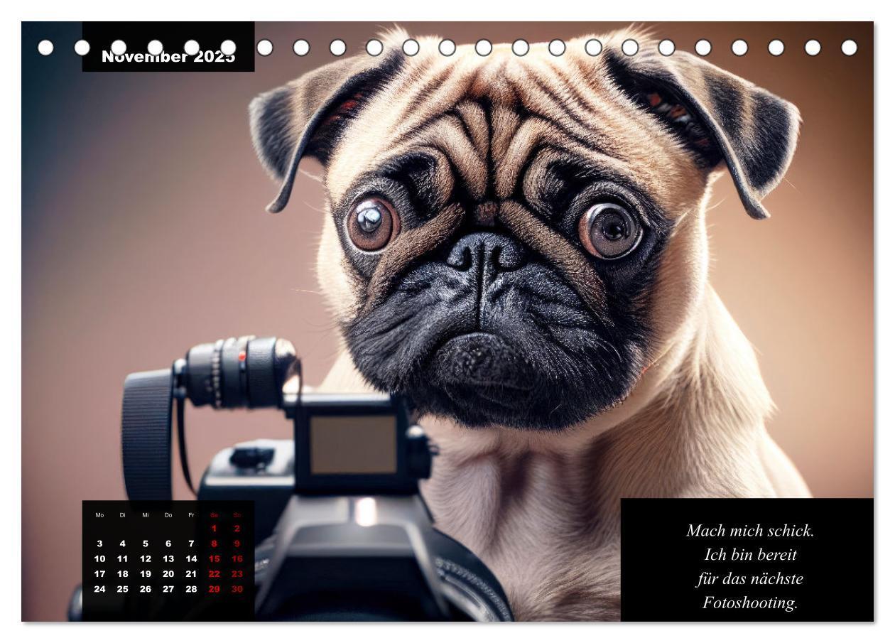 Bild: 9783383918056 | Der humoristische Mops-Kalender (Tischkalender 2025 DIN A5 quer),...