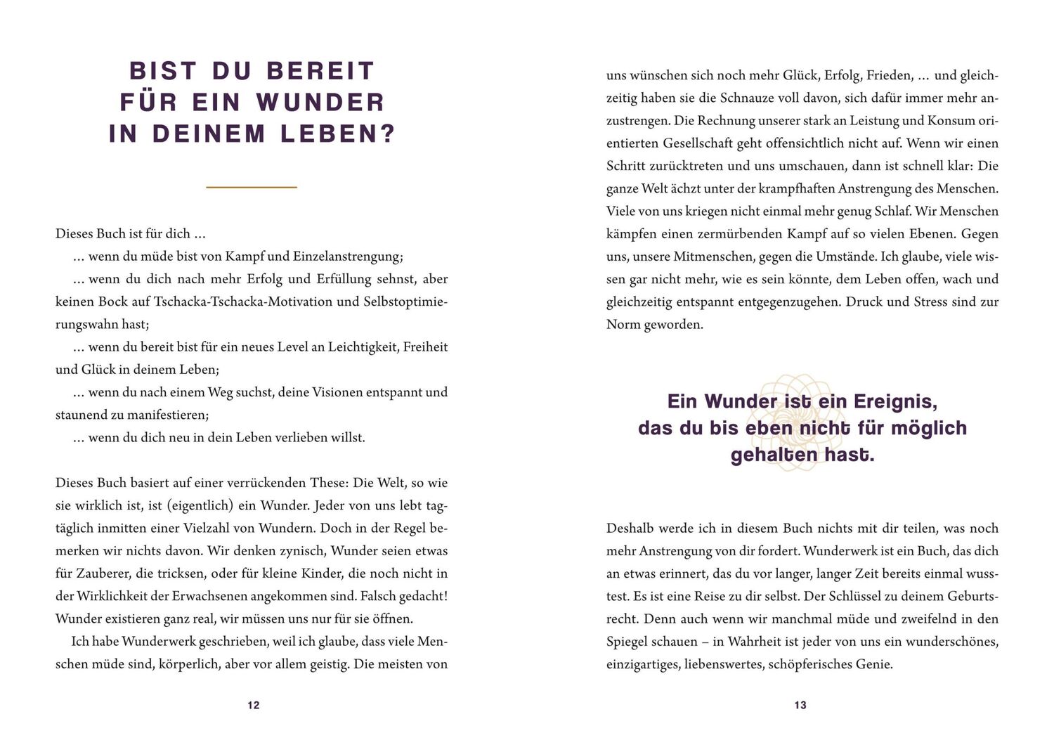 Bild: 9783833881084 | Wunderwerk | Wie du das Unmögliche möglich machst | Veit Lindau | Buch