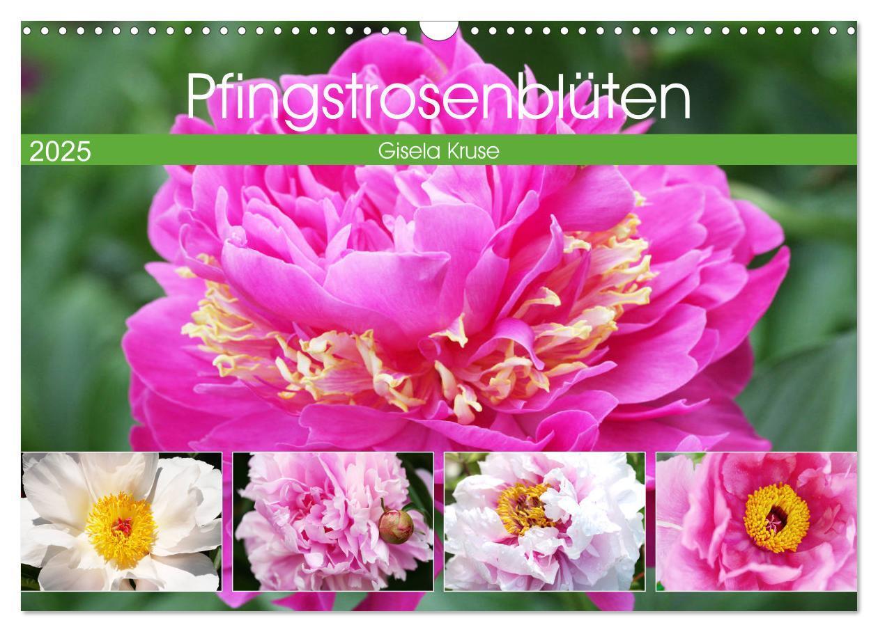 Cover: 9783435234592 | Pfingstrosenblüten (Wandkalender 2025 DIN A3 quer), CALVENDO...