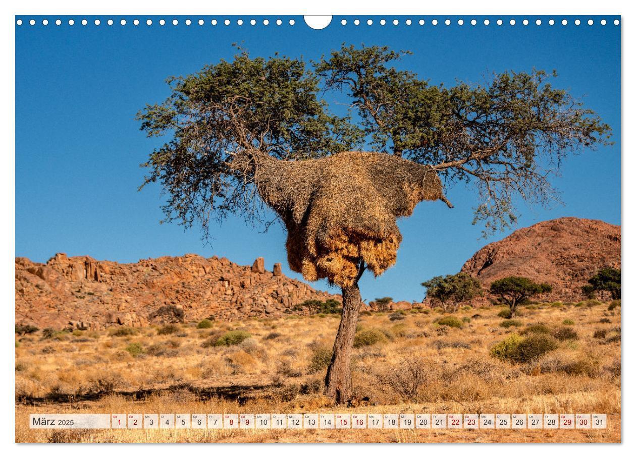 Bild: 9783383852459 | Abenteuerliches Namibia (Wandkalender 2025 DIN A3 quer), CALVENDO...