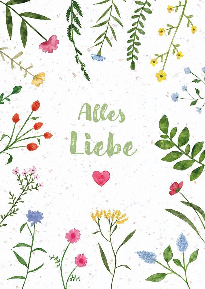 Cover: 4250222943333 | Alles Liebe | Faltkarte aus Samenpapier | Box | 1 S. | 494333 | 2024