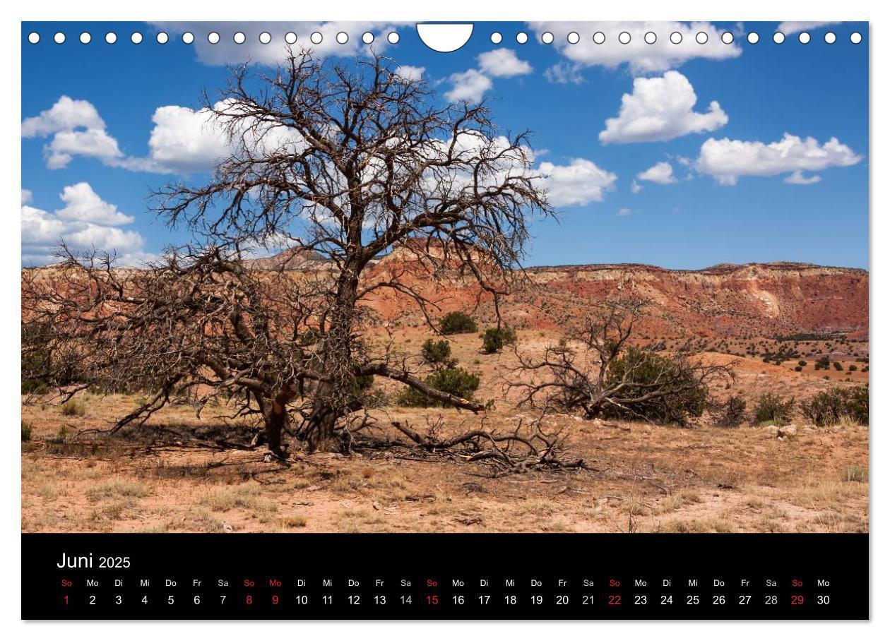 Bild: 9783435813889 | Treasures of New Mexico (Wandkalender 2025 DIN A4 quer), CALVENDO...