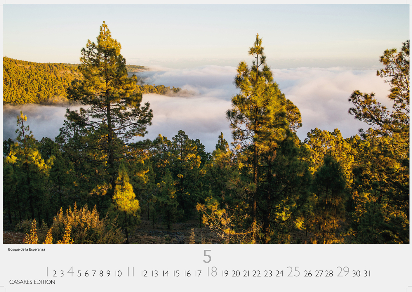 Bild: 9781835240410 | Teneriffa 2025 S 24x35 cm | Kalender | 14 S. | Deutsch | 2025