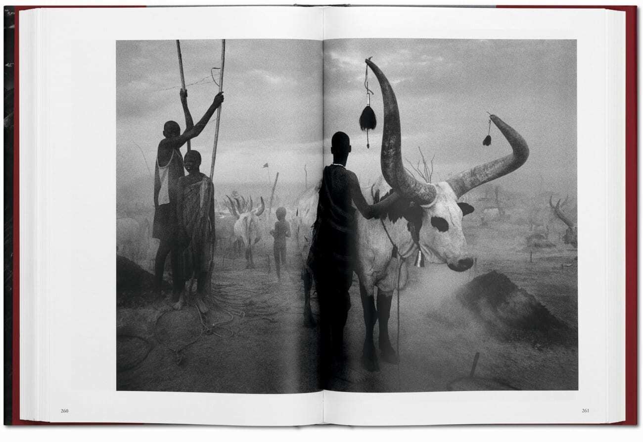 Bild: 9783836542616 | Sebastião Salgado. Genesis | Lélia Wanick Salgado | Buch | 520 S.