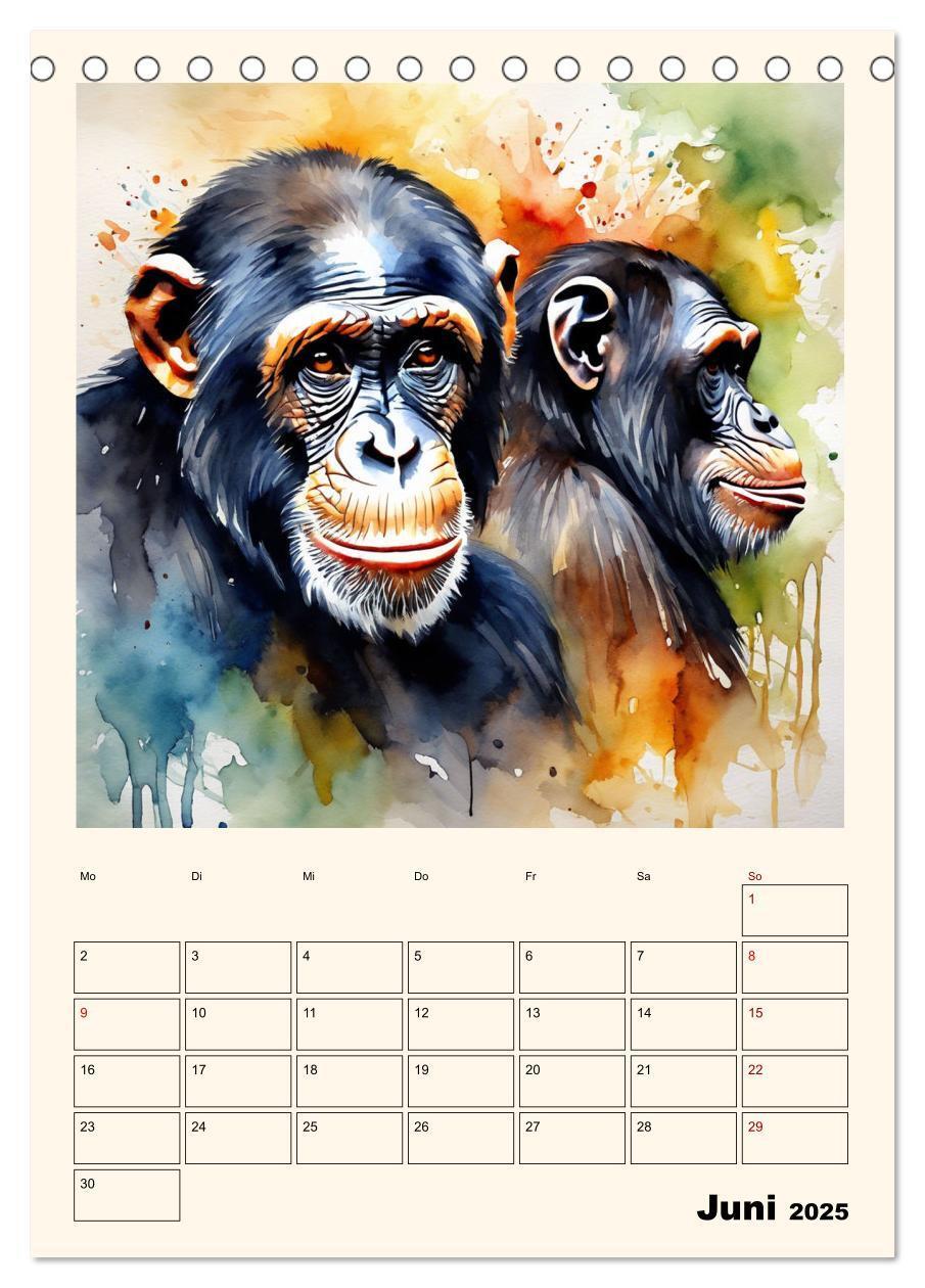 Bild: 9783383820274 | Schimpansen &amp; Gorillas (Tischkalender 2025 DIN A5 hoch), CALVENDO...