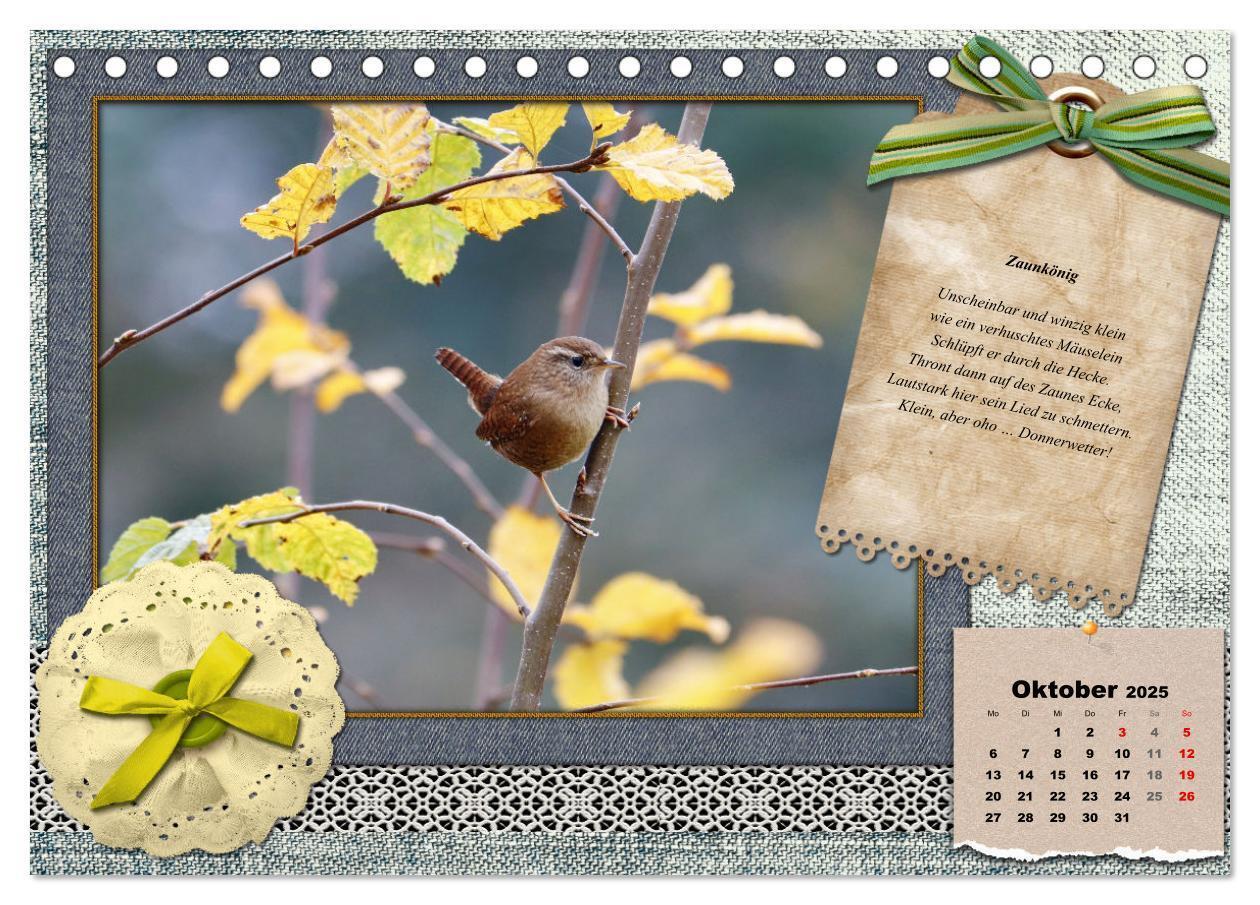 Bild: 9783435081905 | Der poetische Vogelkalender (Tischkalender 2025 DIN A5 quer),...