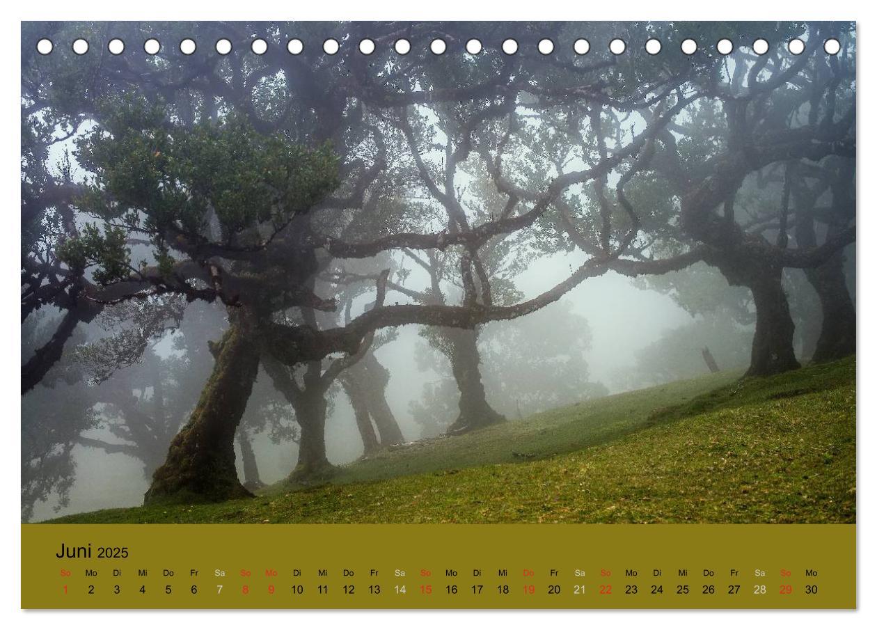 Bild: 9783435670802 | Zauberhaftes Madeira (Tischkalender 2025 DIN A5 quer), CALVENDO...