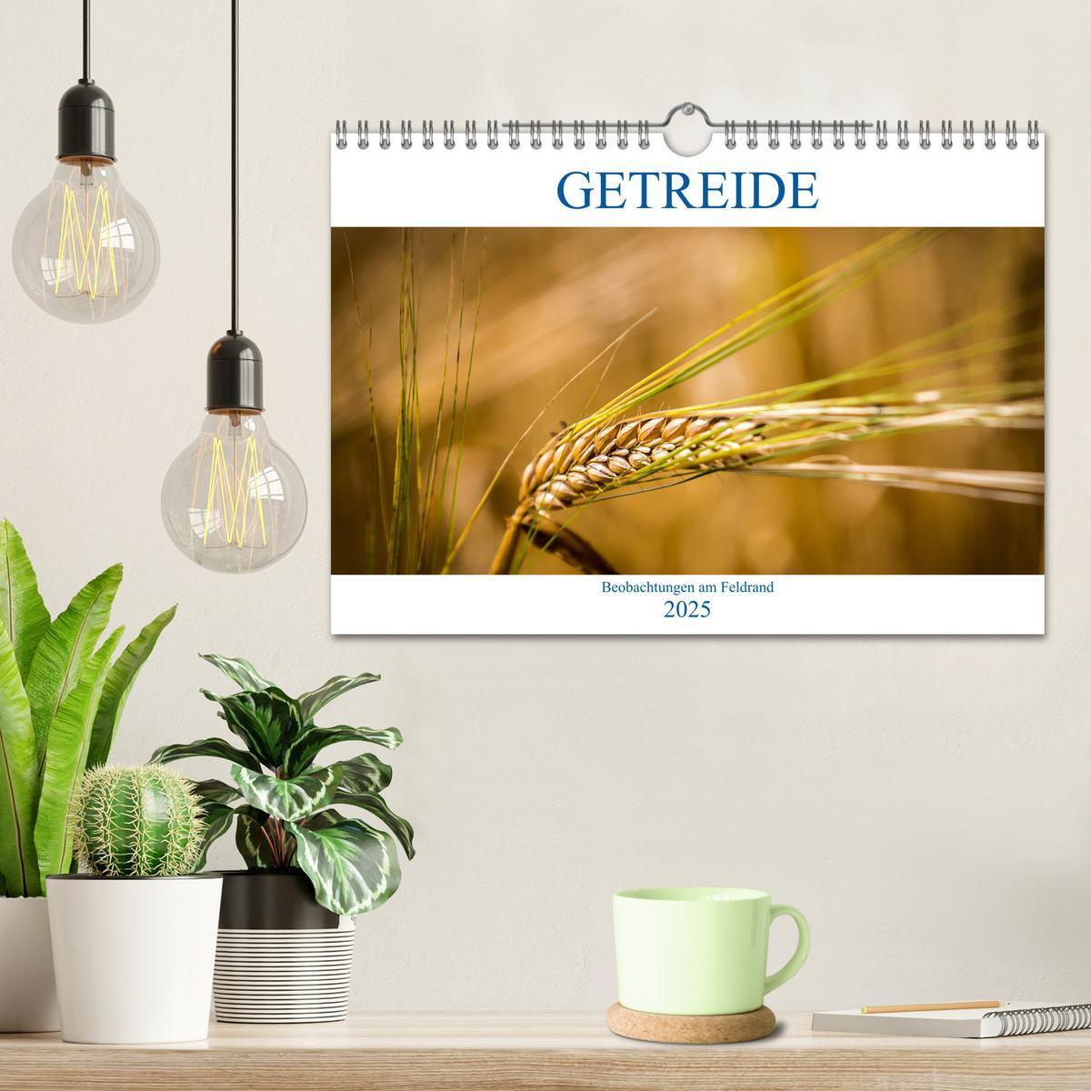 Bild: 9783435175291 | Getreide - Beobachtungen am Feldrand (Wandkalender 2025 DIN A4...