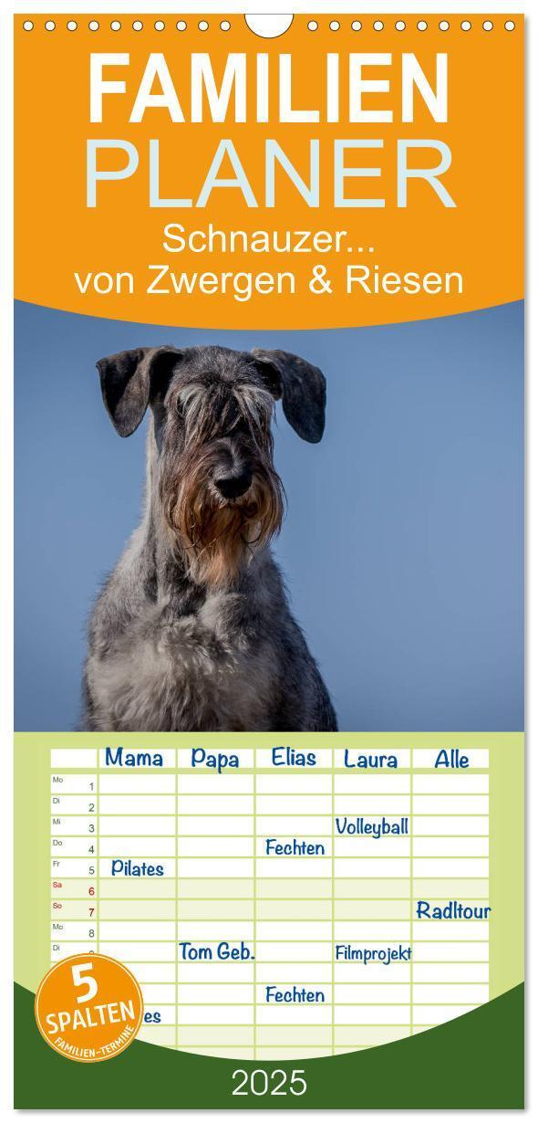 Cover: 9783457111482 | Familienplaner 2025 - Schnauzer... von Zwergen und Riesen 2025 mit...