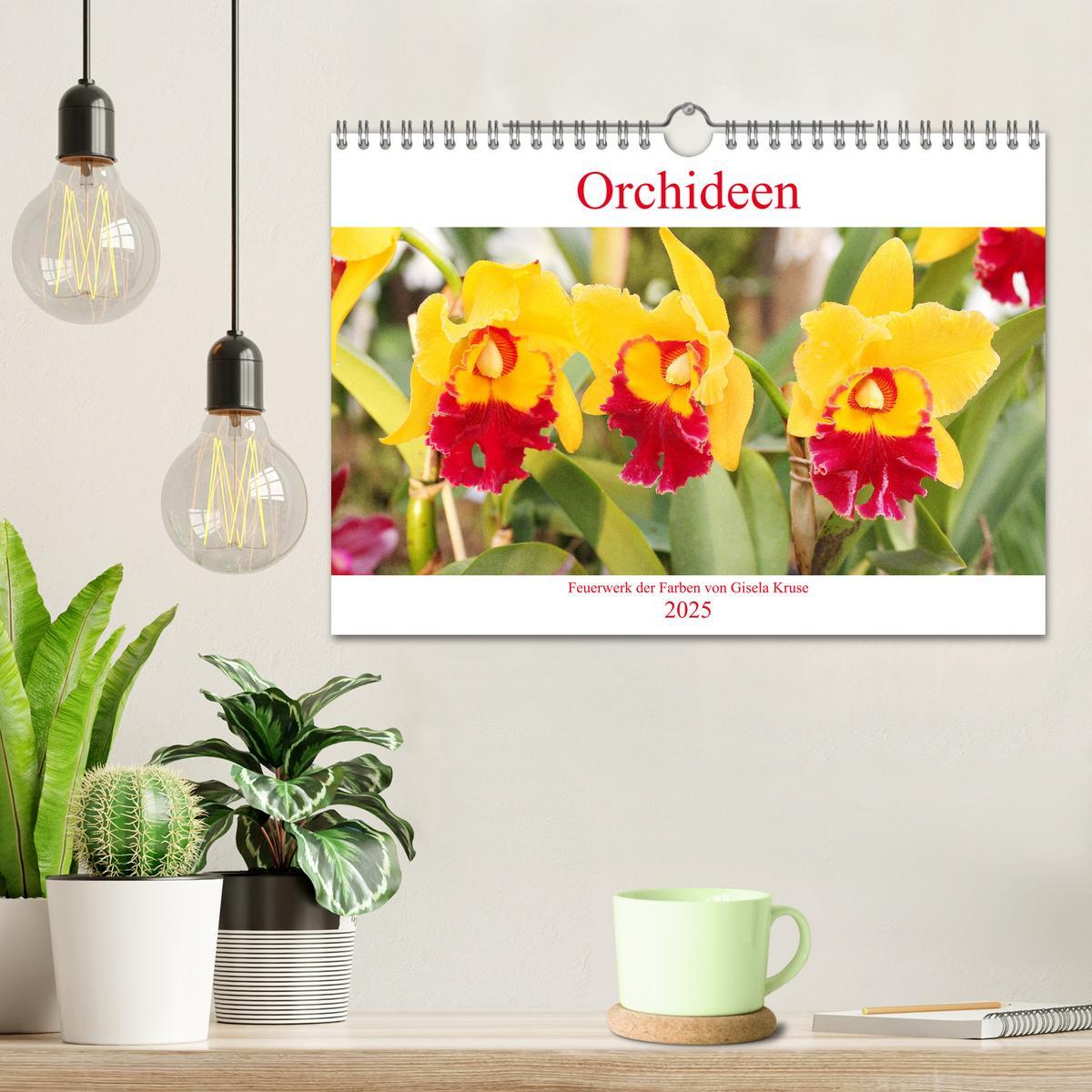 Bild: 9783435289455 | Orchideen Feuerwerk der Farben (Wandkalender 2025 DIN A4 quer),...