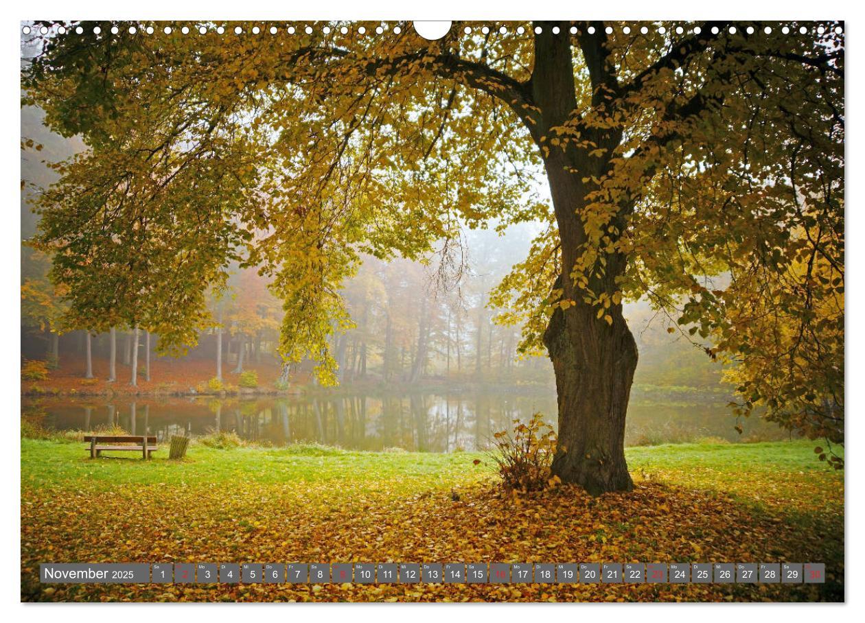 Bild: 9783435201518 | Zauberhafte Schwalm (Wandkalender 2025 DIN A3 quer), CALVENDO...