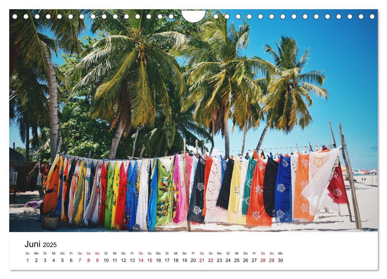 Bild: 9783383998409 | Naturparadies Madagaskar (Wandkalender 2025 DIN A4 quer), CALVENDO...