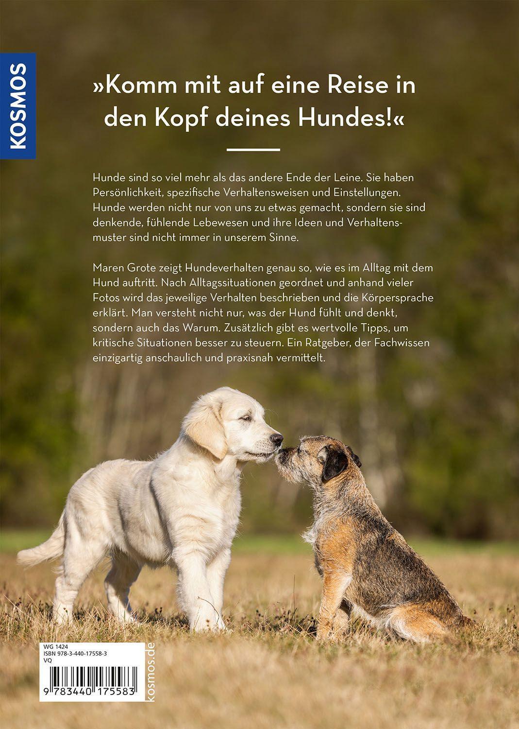 Bild: 9783440175583 | Hunde lesen lernen | Maren Grote | Taschenbuch | 200 S. | Deutsch