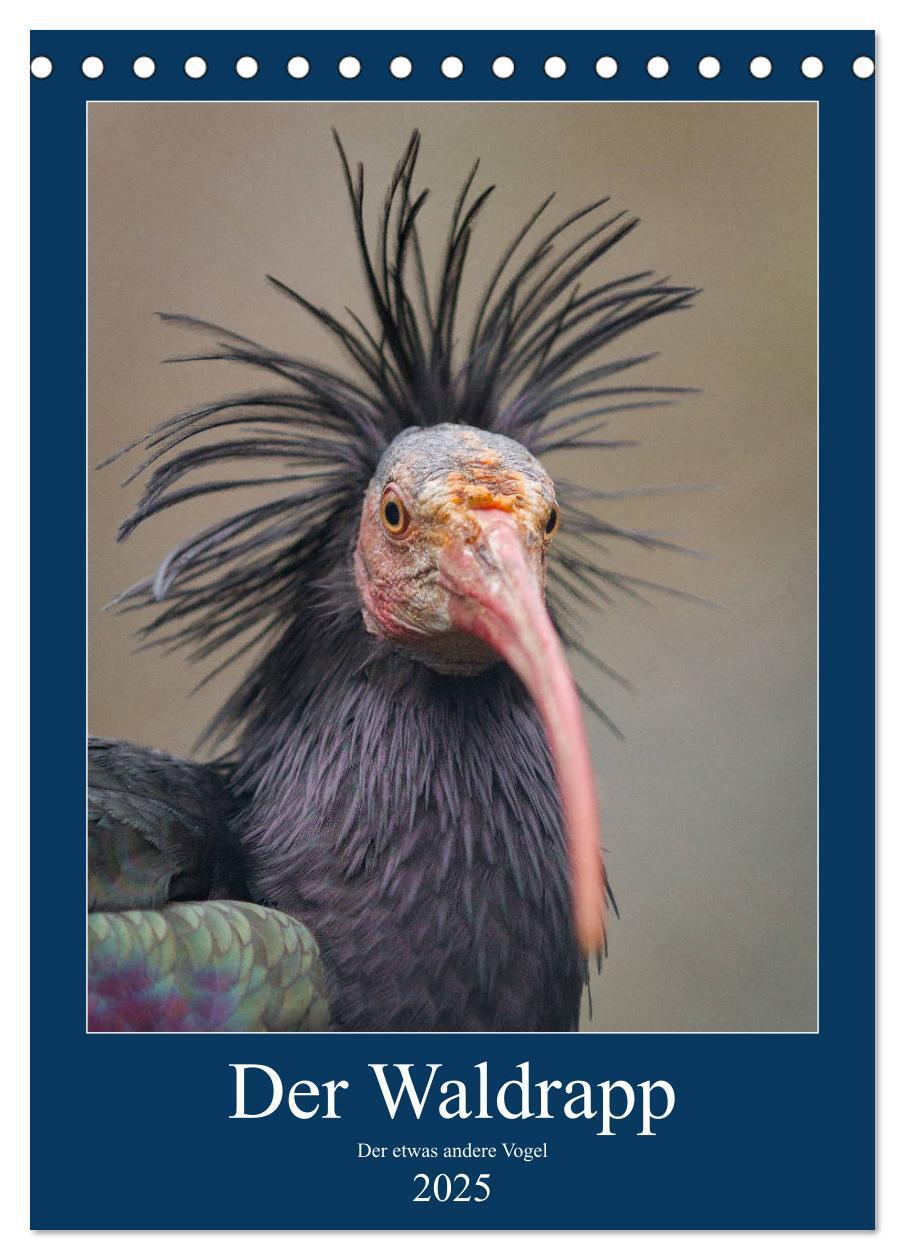 Cover: 9783435930180 | Der Waldrapp - Der etwas andere Vogel (Tischkalender 2025 DIN A5...