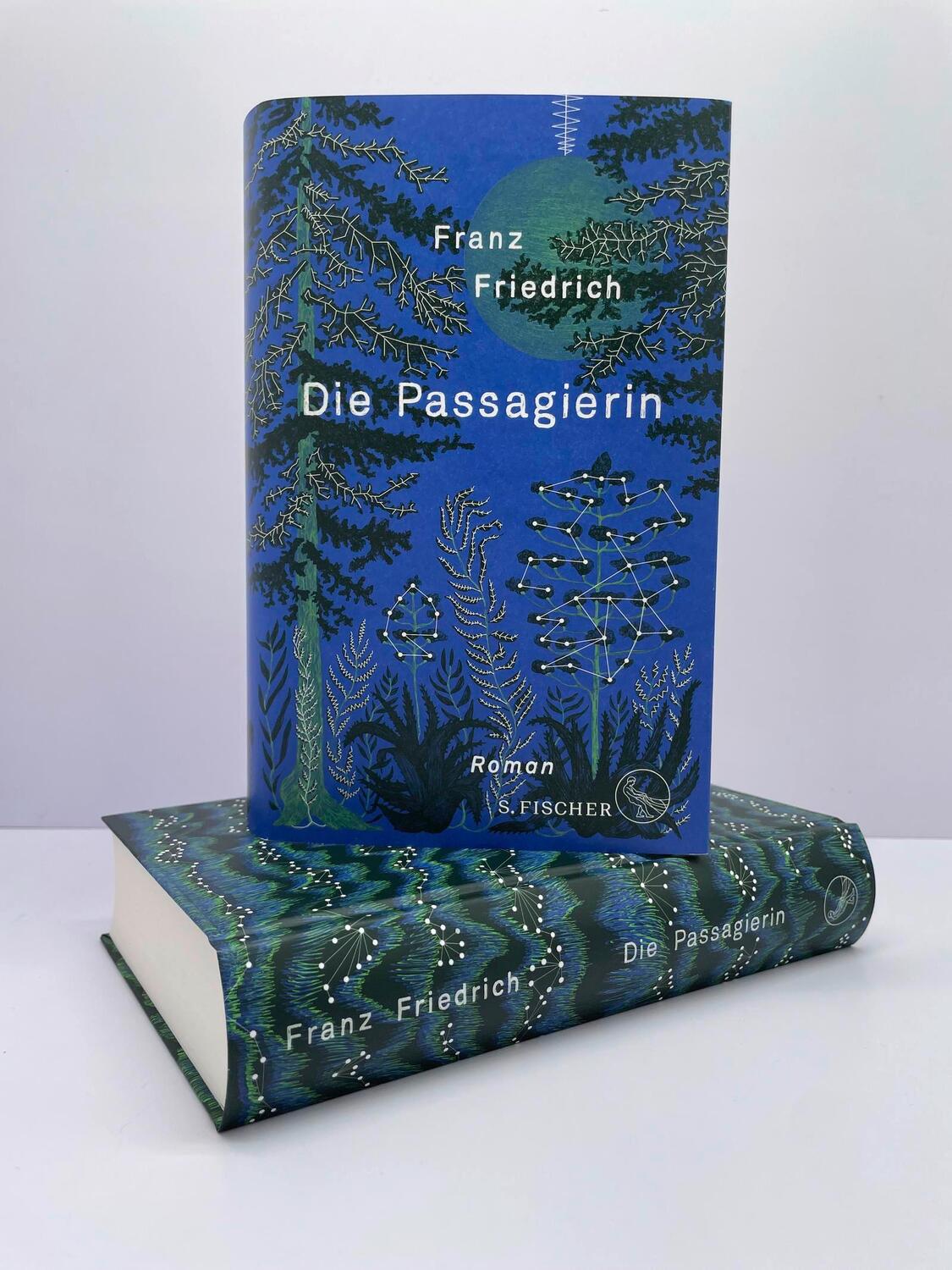 Bild: 9783103971170 | Die Passagierin | Roman | Franz Friedrich | Buch | 512 S. | Deutsch