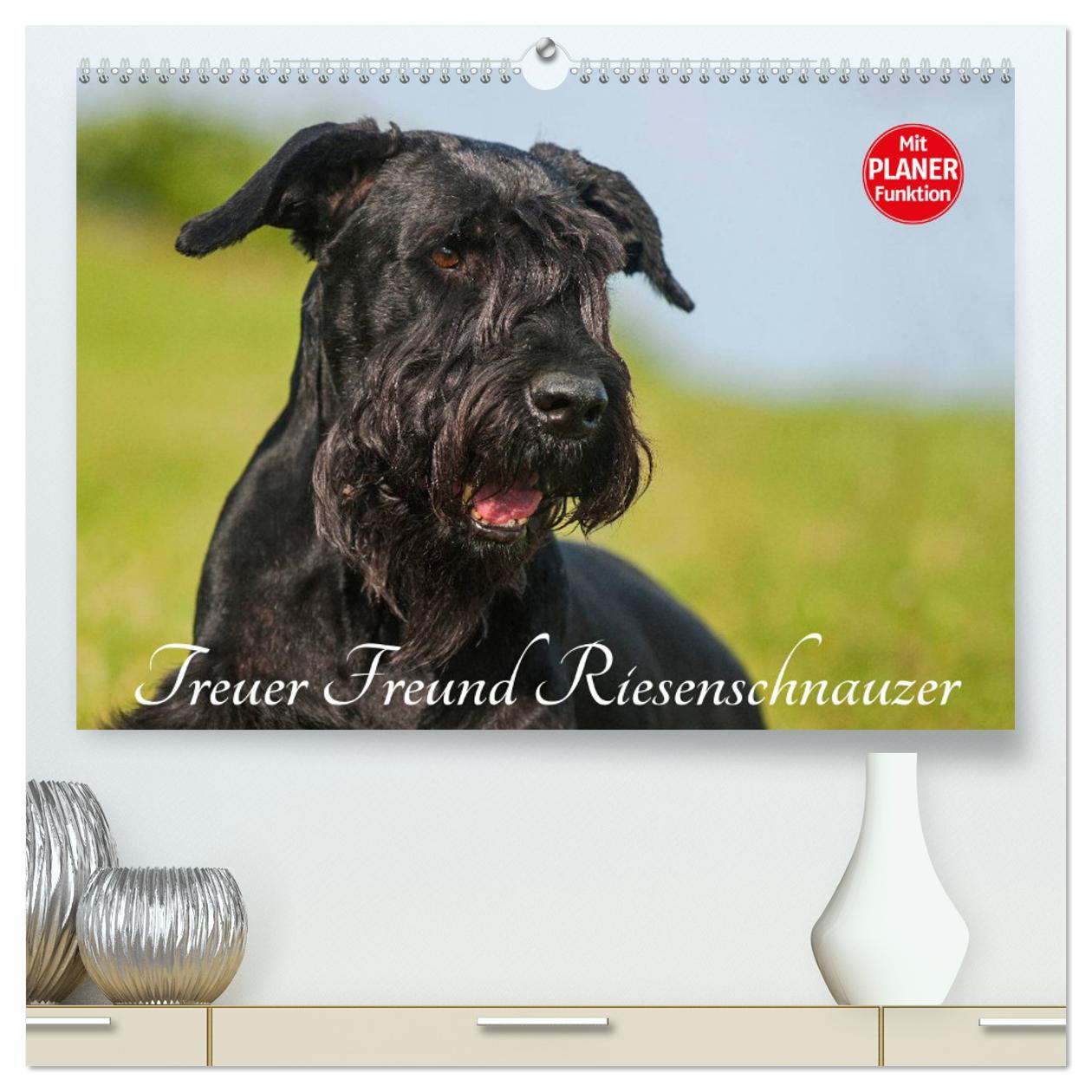 Cover: 9783435538799 | Treuer Freund Riesenschnauzer (hochwertiger Premium Wandkalender...