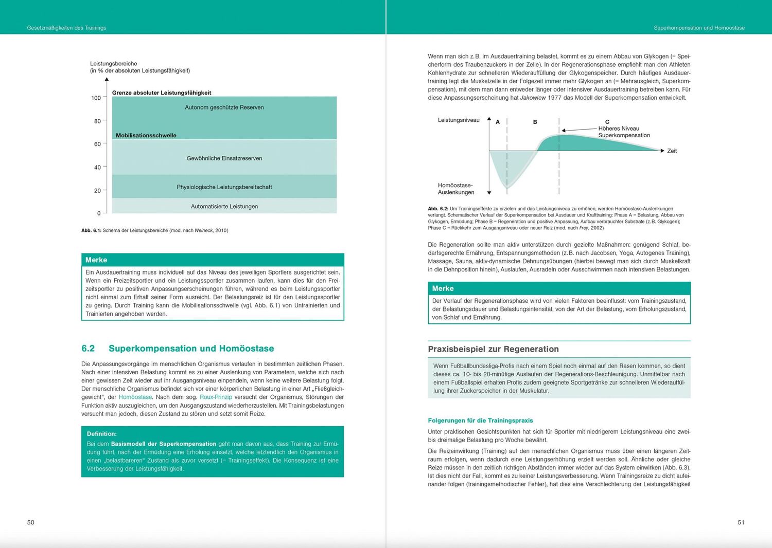 Bild: 9783964161017 | Fit im Schulsport | Optimales Sportwissen für das Sportprofil | Buch