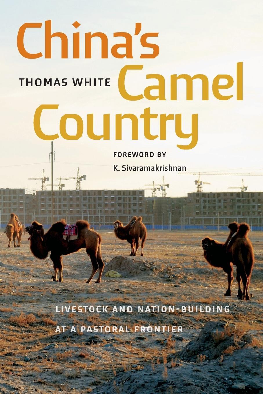 Cover: 9780295752433 | China's Camel Country | Thomas White | Taschenbuch | Paperback | 2024